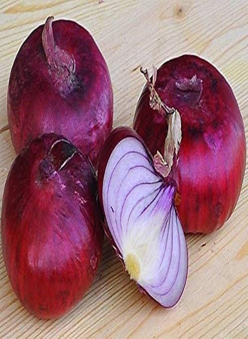 GGOOT 100pcs Purple Onion seeds High Yield Vegetable Family Garden Rare Exotic Variety High Germination Rate and Convenient Storage - Image 1