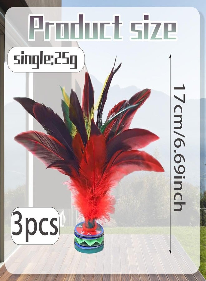 Pmeixcy 3 كرات ريش دجاج، جيانزي، كرات ركل صينية تقليدية، كرات ريش صينية، كرة ريش كبيرة للأطفال، بناء الفريق في رياض الأطفال - Image 2