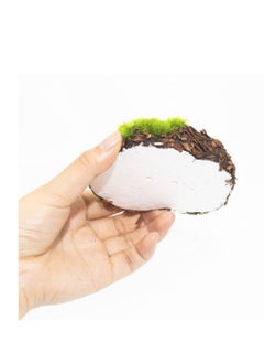 Generic Artificial Moss Rocks Decorative, 12 Pcs Large Size Moss Balls Faux Green Moss Stones False Moss Decor for Garden DIY Floral Arrangements Plant Poted Decoration, Terrarium Decor  - Image 2