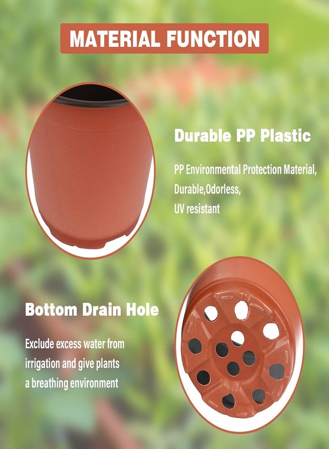 KINGLAKE 50 Pcs 6" Plastic Plants Nursery Seedlings Pot/Pots Flower Plant Container Seed Starting Pots - Image 5
