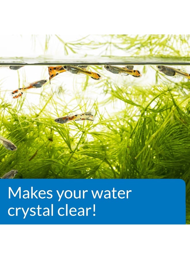 Api Accu-Clear, 8 Oz, Multicolor, Fl Oz (Pack Of 1) Multicolor - Image 4