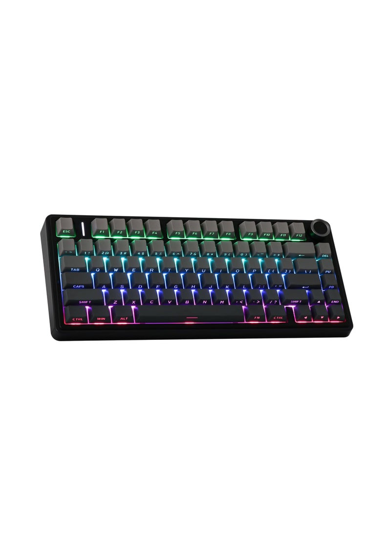 AULA F75 PRO Gasket Mechanical Keyboard, 75% Wireless Hot Swappable Gaming Keyboard with Five-Layer Padding&Knob, Bluetooth/2.4GHz/USB-C, RGB (Black Gradient, LEOBOG Reaper Switch)