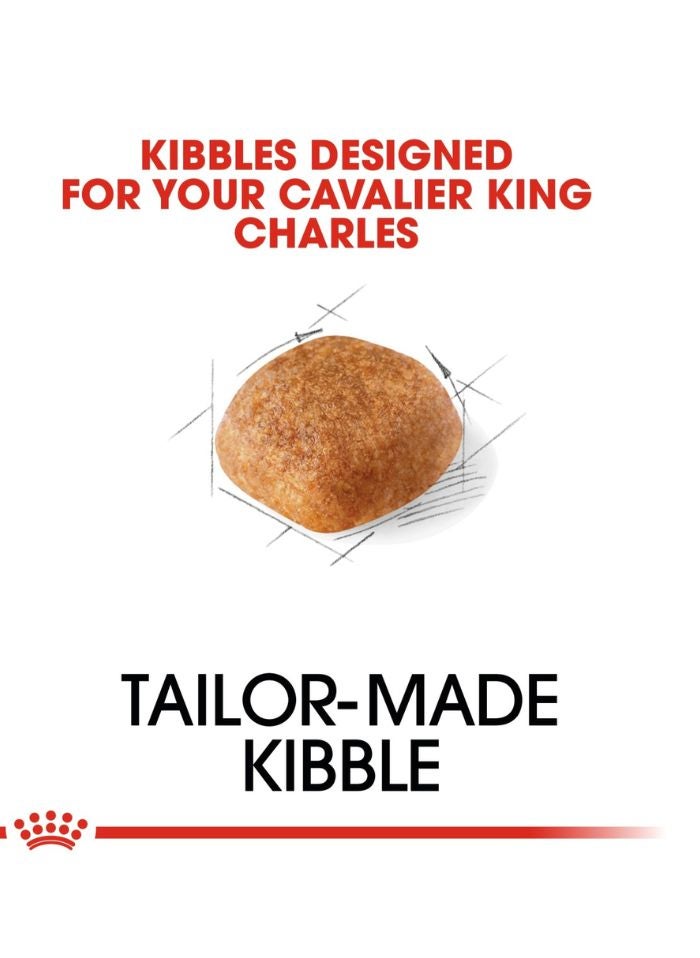 ROYAL CANIN تغذية صحة السلالة كافاليير كينغ تشارلز للبالغين 1.5 كجم - Image 2