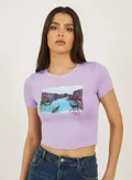 ستايلي Lilac