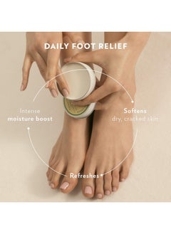 Alba 1913 Galenic Regenerative Foot Cream For Dry Cracked Heels And Feet 1.76 Oz / 50G - Foot Care & Cracked Heel Treatment, Daily Moisturizing Cream For Women & Men With Shea Butter & Coconut Oils  - Image 2