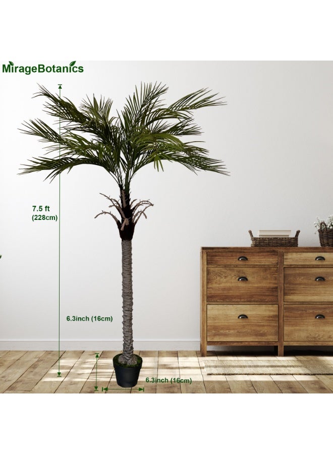 MirageBotanics Artificial Palm Tree Fake Tall Artificial Palm Trees for Outdoor Indoor Decor Faux Phoenix Palm Plants for Outside Patio Pool Coastal Home Office Living Room - Image 2