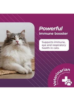 VetriScience Laboratories Vetri Lysine Plus  120 Chews  Immune Support Cat Supplements And Vitamins With LLysine And Dmg For Immunity And Respiratory Health  - Image 2