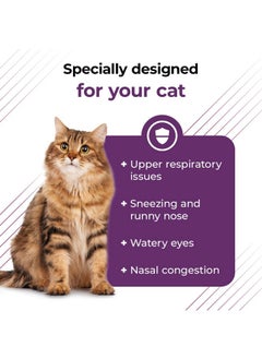 VetriScience Laboratories Vetri Lysine Plus  120 Chews  Immune Support Cat Supplements And Vitamins With LLysine And Dmg For Immunity And Respiratory Health  - Image 4