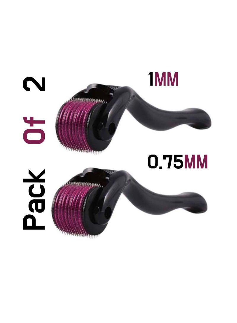 Pack Of 2 Pcs Derma Roller 540 Needles To Remove Dark Spots And Tighten Skin Daily Routine For Hair And Skin Care 0.75 MM And 1 MM Derma Roller - Image 1