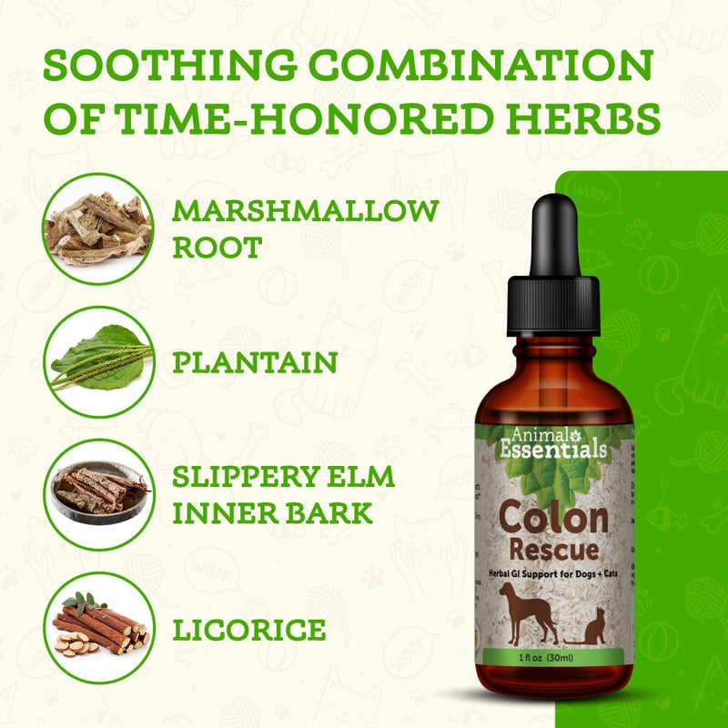 Animal Essentials Colon Rescue for Dogs & Cats - Constipation Relief, Stool Softener with Slippery Elm, Marshmallow Root, Licorice Root - 1 Fl Oz - Image 2