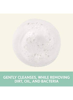 Aveeno Clear Complexion Foaming Oilfree Facial Cleanser With Salicylic Acid Acne Medication For Breakoutprone Skin & Soy Extracts Hypoallergenic & Noncomedogenic 6 Fl Oz Pack Of 3  - Image 3