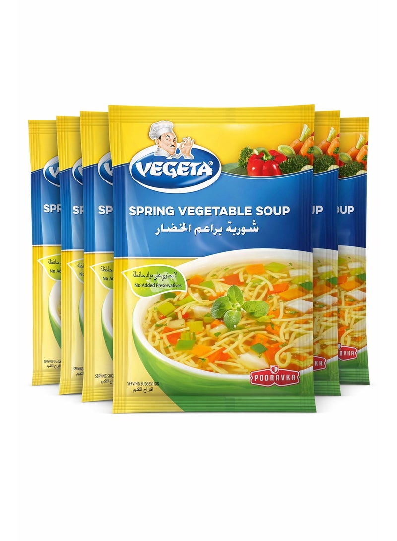 Vegata Spring Vegetable Soup 60G – Instant Dehydrated Vegetable Soup Mix