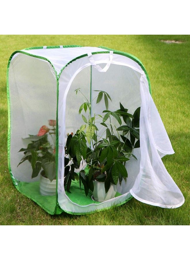RESTCLOUD 36" Large Monarch Butterfly Habitat Giant Collapsible Insect Mesh Cage Terrarium Pop Up 24 X 24 X 36 Inches - Image 5