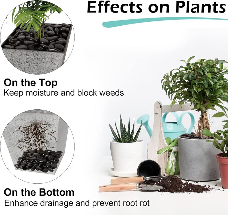 GASPRO 8lb Black River Rocks for Plants, Vases, 1 to 2 Inch Decorative Pebbles for Pots Indoor, High Polished - Image 4