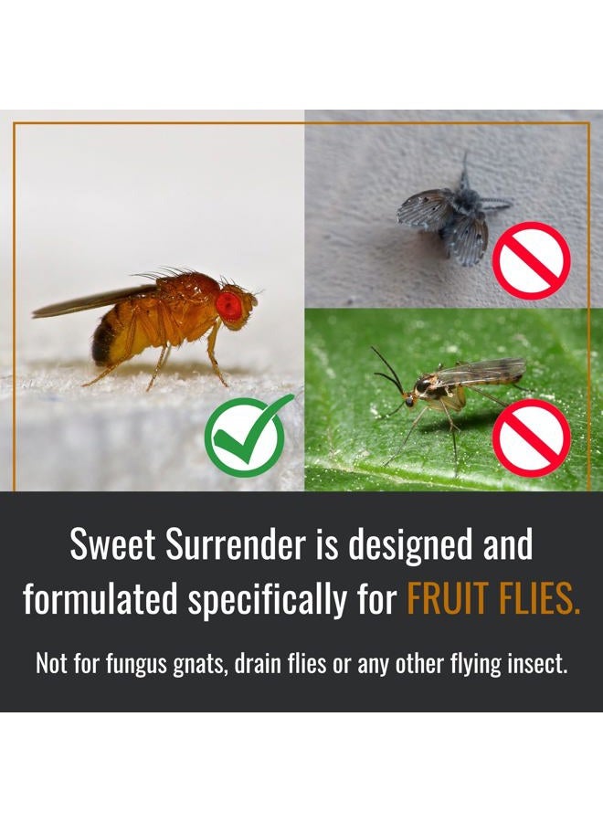 Dr. KILLIGAN'S Sweet Surrender - Fruit Fly Trap for Indoors, Home and Kitchen - Trap with Liquid Bait and Lure - Powerful Fruit Fly Attractant - Image 4