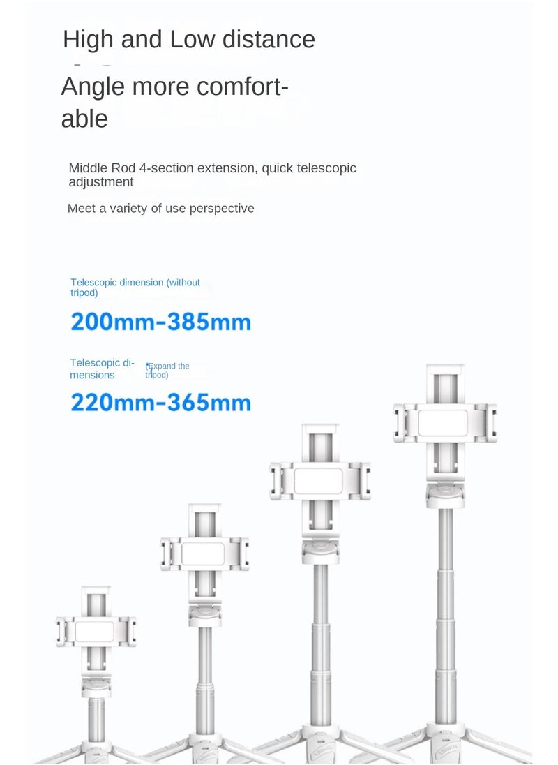 عصا سيلفي بلوتوث JJ02 ثلاثية في واحد مع حامل ثلاثي القوائم | مثبت يدوي محمول للتصوير | تصميم قابل للطي وخفيف الوزن 116 جم، تحكم عن بعد 10 أمتار، عمود قابل للتمديد، مشبك هاتف قابل للتعديل 360°، قاعدة حذاء بارد للإكسسوارات - pzsku/ZA94945A808CC3025BFFCZ/45/_/1733711013/94ce8536-415b-484e-97f1-7c93ba19e19d