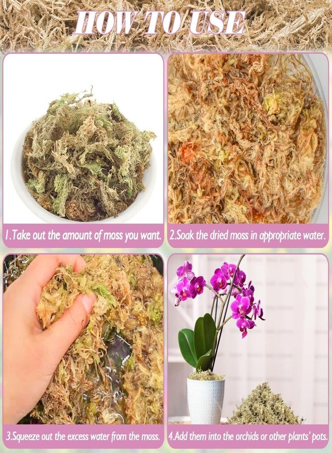 Halatool 2.2LBS Natural Sphagnum Moss for Plants 40 QT Premium Peat Moss Dried Long Fiber Orchid Moss for Orchid Repotting Carnivorous Succulents Garden Flowers Crafts Terrarium and Reptiles - Image 4