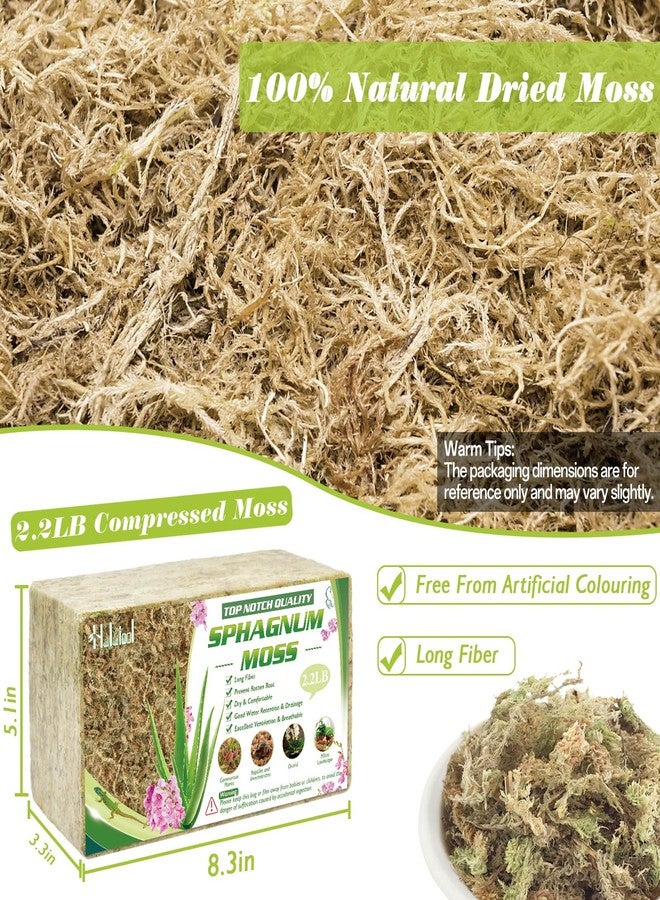 Halatool 2.2LBS Natural Sphagnum Moss for Plants 40 QT Premium Peat Moss Dried Long Fiber Orchid Moss for Orchid Repotting Carnivorous Succulents Garden Flowers Crafts Terrarium and Reptiles - Image 2