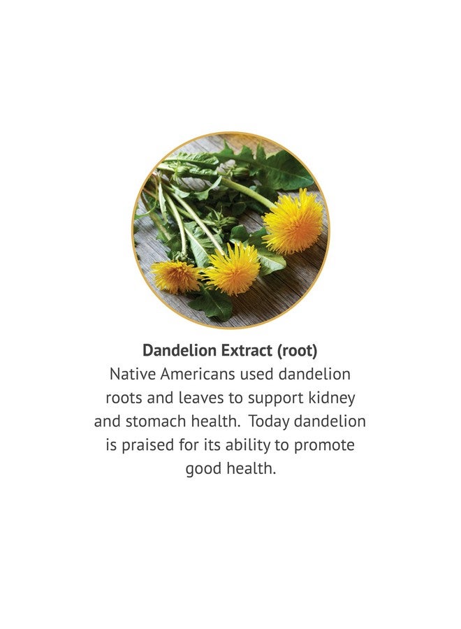 Botanic Choice خيار نباتي جذر الهندباء، مستخلص سائل خالي من الكحول - دعم تقليدي لصحة الكبد، تطهير السموم، مساعدة في الهضم - 1 أونصة سائلة - Image 4