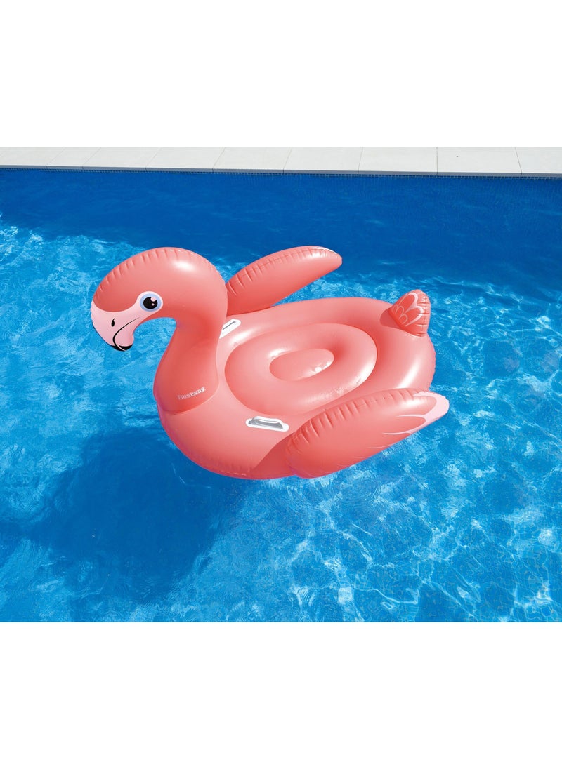 Bestway Rider Flamenco 168x120cm | Inflatable Ride-on | Pool Float | Summer Water Toy | Pool & Beach Toy - pzsku/ZA94D6ADD3662788831A9Z/45/1741601385/51db9056-b8c9-496d-88ec-7639eb02f934