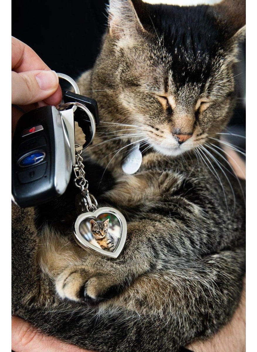 pearhead Pearhead Photo Keychain Pet Locket Dog or Cat Photo Frame Keychain Paw Print Charm Pack of 3  - Image 3