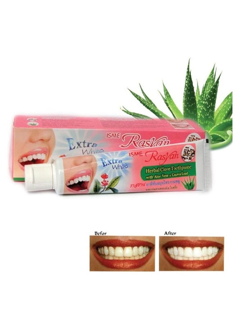 Rasyan ISME Natural Herbal Clove Toothpaste 100 g with Aloe Vera & Guava Leaf Whitening Bad Breath Decay Fluoride Free Toothpaste, Pack of 1 - Image 3