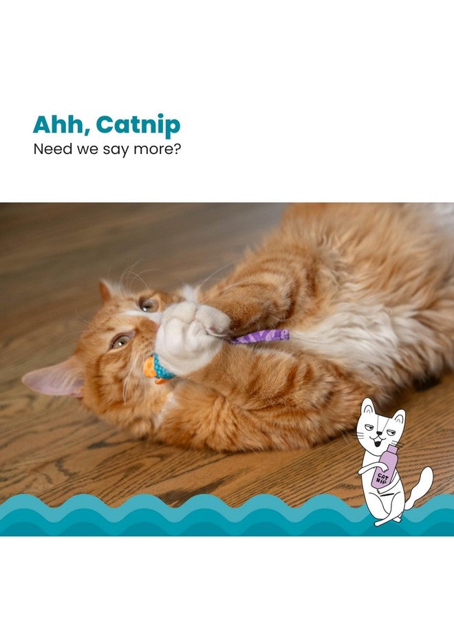 مراحل القطط لعبة كات ستيجز كاتنيب تشيو لصحة أسنان القطط - عبوة من قطعتين - Image 4