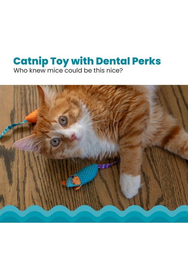 مراحل القطط لعبة كات ستيجز كاتنيب تشيو لصحة أسنان القطط - عبوة من قطعتين - Image 2