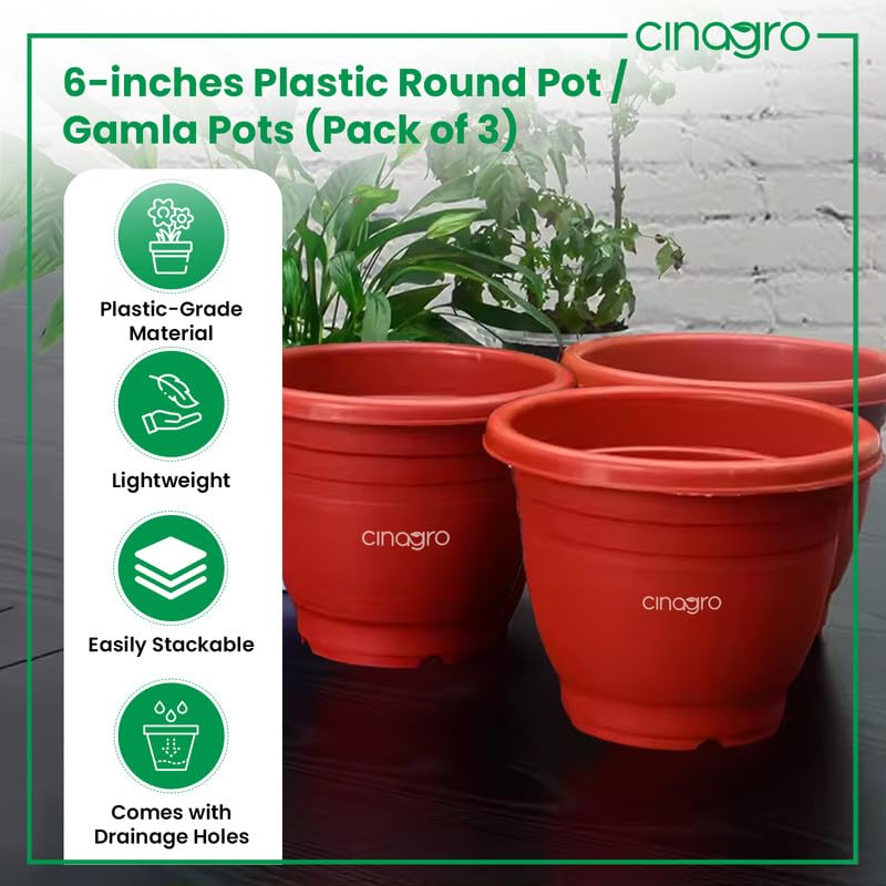 CINAGRO Plastic Round Pot, 6 inch - Pack of 3, Fits 5.5 inch Bottom Tray, Gamla Pot, UV Protected Planter, Heavy-Duty, Durable Plant Container, Gamla for Indoor Home Decor & Outdoor Garden - Image 2