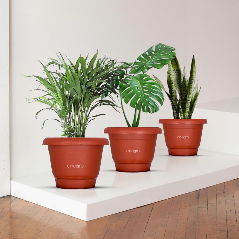CINAGRO Plastic Round Pot, 6 inch - Pack of 3, Fits 5.5 inch Bottom Tray, Gamla Pot, UV Protected Planter, Heavy-Duty, Durable Plant Container, Gamla for Indoor Home Decor & Outdoor Garden - Image 1