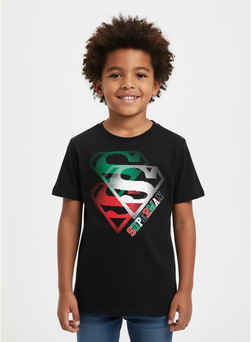 general T-SHIRT BOYS SOUVENIR SS 2-8 YRS HT-SUPERMAN - Image 4