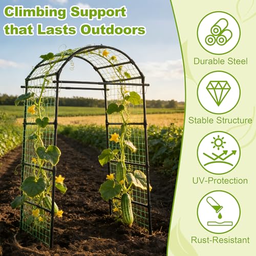 Miory Garden Arch Trellis for Climbing Plants Outdoor, 7ft Tall Plants Support Trellis for Climbing Vine Tomato Vegetable Flower Fruit, Cucumber Trellis for Raised Bed (32 x 83 Inch) - Image 5