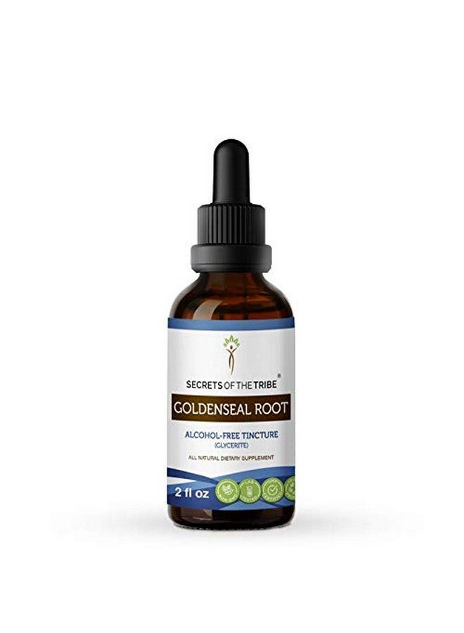 Secrets of the Tribe Goldenseal Root Tincture Alcoholfree Extract Goldenseal (Hydrastis Canadensis) Dried Root 2 Oz - Image 1