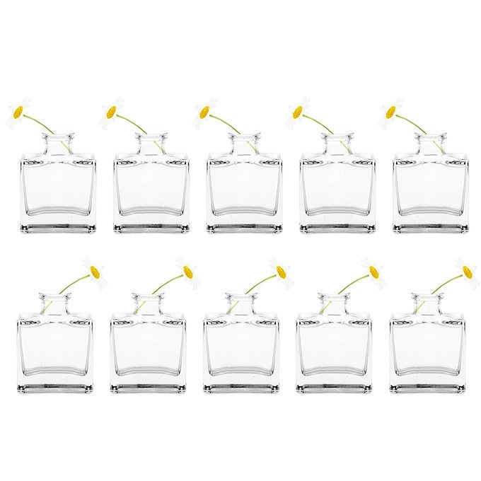 LOFT SMALL MINI FLOWER VASES CLEAR GLASS BUD VASES SET OF 10 CUTE VINTAGE RUSTIC CENTERPIECES FOR WEDDING EVENTS HOME PREMIUM QUALITY DESIGNED TO LAST
