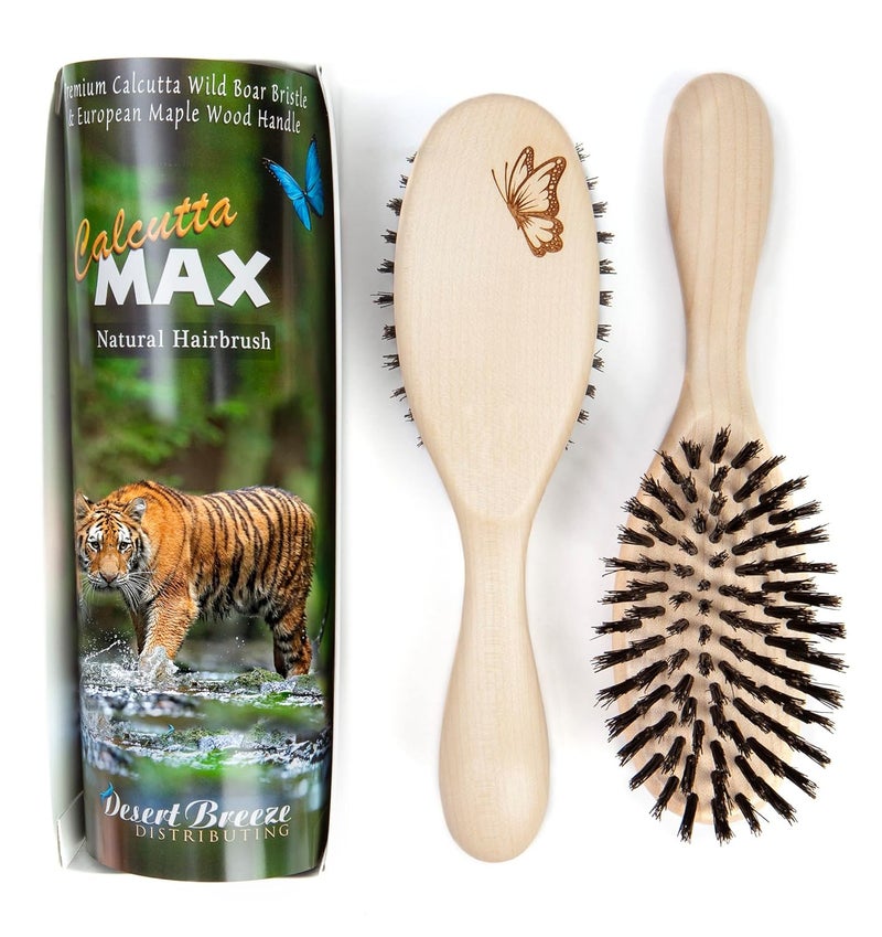 Calcutta Max  100 Pure Calcutta Extra Stiff Wild Boar Bristle Hair Brush  Best Natural Hair Brush for Women  Thick Hair Brush for Healthy Hair  Light Maple Wood Handle  Made in Europe