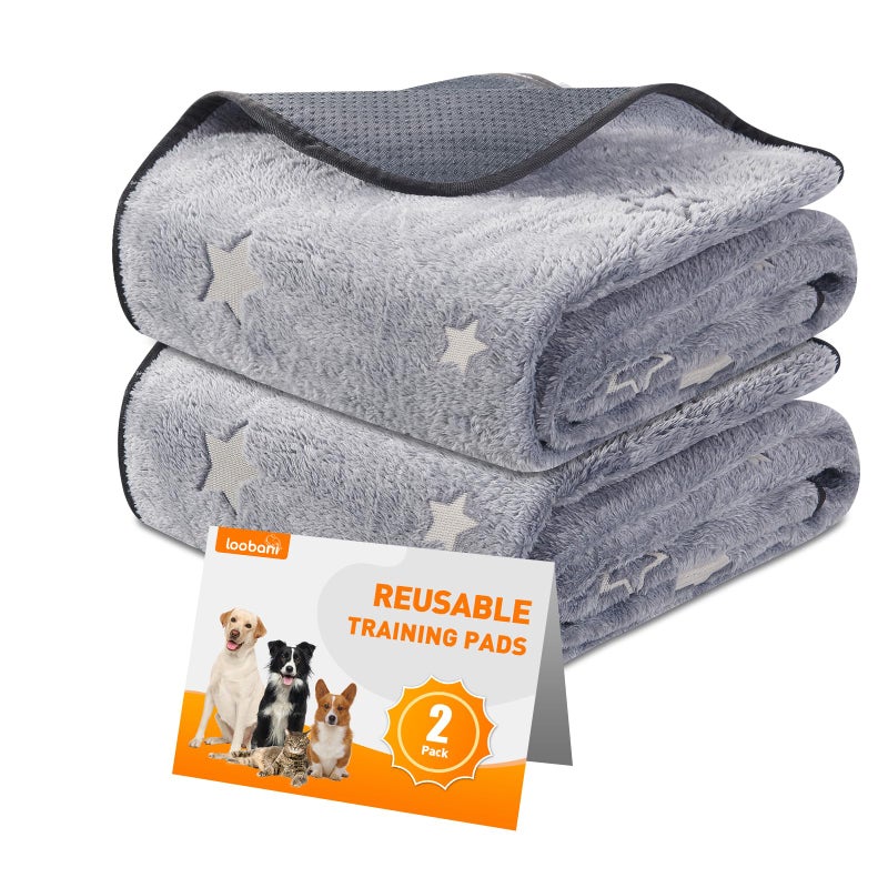 LOOBANI Washable Pee Pads for Dogs, 2 Pack 31 x 36 in Reusable Pee Pads for Dog Mat Puppy Mats Training Non Slip Whelping Mat for Dog Playpen, Crate, Car, Grey - Image 1