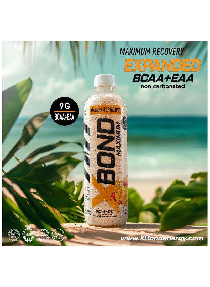 Xbond Energy - X-BOND 9g BCAA + EAA Mango Alphonso Maximum Recovery Non Carbonated Drink Maximum Amino Drink Electrolytes Drink 16 fl oz 500 ml Sugar Free 34 Calories 60 Mg - Image 1