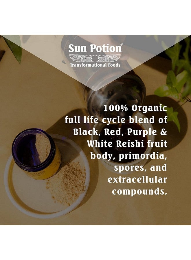 Sun Potion Sun Potion Reishi Mushroom Powder (Organic) - (100g) - Image 2