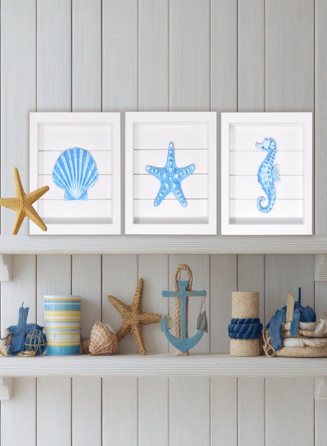 Gift Boutique Blue Starfish Seashell and Seahorse (Framed Set of 3) Coastal 3D Wall Art, Beach Wall Decor for Bathroom Bedroom or Beach House Ocean Inspired Seaside Decorations - Image 5
