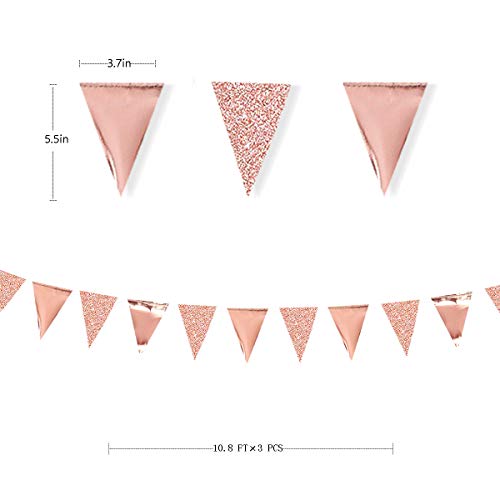 pinkblume 30Ft Rose Gold Party Decoration Rose Pink Triangle Pennant Banner Blush Pink Hanging Paper Flag Bunting for Graduation Wedding Bridal Shower Birthday Bachelorette Engagement Anniversary Party Supplies - Image 5