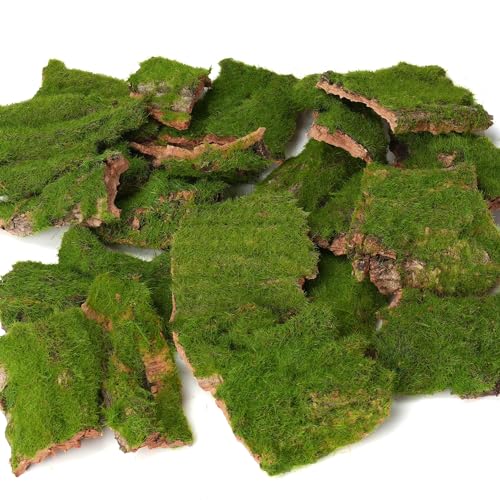 BYHER Assorted Artificial Moss Bark, Decorative Mossy Tree Bark for DIY Crafts, Fairy Gardens, Terrariums, Floral Arrangements (Realistic Green - 100gr) - Image 1