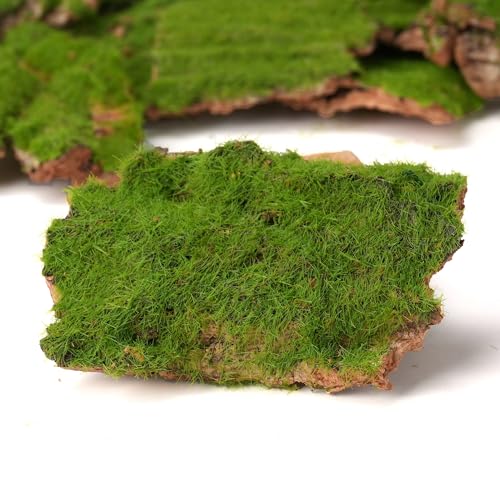 BYHER Assorted Artificial Moss Bark, Decorative Mossy Tree Bark for DIY Crafts, Fairy Gardens, Terrariums, Floral Arrangements (Realistic Green - 100gr) - Image 5