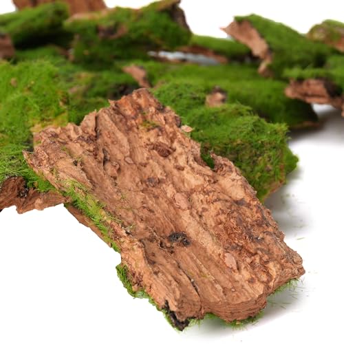 BYHER Assorted Artificial Moss Bark, Decorative Mossy Tree Bark for DIY Crafts, Fairy Gardens, Terrariums, Floral Arrangements (Realistic Green - 100gr) - Image 3