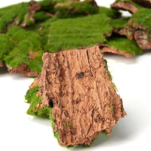 BYHER Assorted Artificial Moss Bark, Decorative Mossy Tree Bark for DIY Crafts, Fairy Gardens, Terrariums, Floral Arrangements (Realistic Green - 100gr) - Image 4