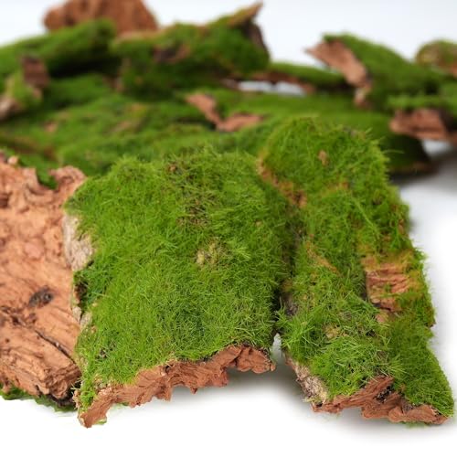 BYHER Assorted Artificial Moss Bark, Decorative Mossy Tree Bark for DIY Crafts, Fairy Gardens, Terrariums, Floral Arrangements (Realistic Green - 100gr) - Image 2