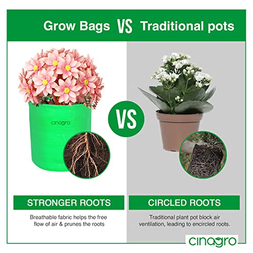 CINAGRO Premium Grow Bags, Pack of 5 HDPE 260 GSM 12x12 Inch, UV Protected Round Green Garden Decor Plant Grow Bag, Planters for Terrace, Balcony & Gardening, Suitable for Vegetables & Flowers - Image 5
