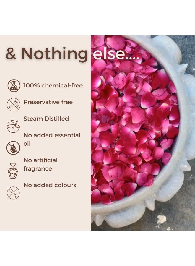 The Tribe Concepts Godavari Rose Mist Face Toner, Pure Distilled Rose Water For Hydration, Brightening & Even Skin Tone - 100 ml (Pack of 1) - Image 3