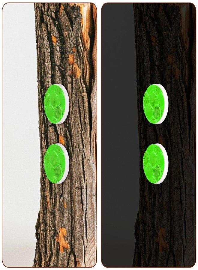 XIHIRCD 100pcs Reflective Trail Tacks, Hunting Trail Markers Glow in The Dark Pins Box Package Reflective Thumb Tacks for Trail Marking Hunting Camping Hiking Survival Outdoors Tools - Image 5