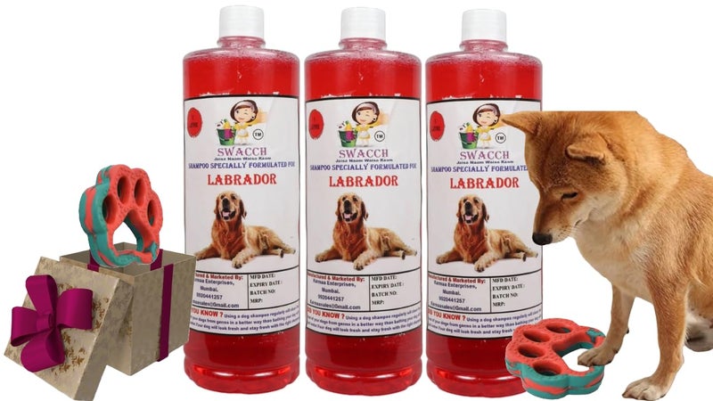 swacch Labrador Dog Shampoo + Paw Shape I Rubber Dog Toy for Training and Interactive I Durable & Safe I Combo Pack I 3 Litre Jasmine - Image 1