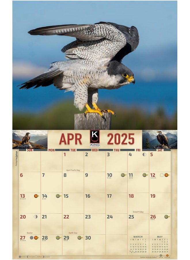 The KING Company - Ey Wall Calendar 16-Month X-Large Size 14X22, Best Eagle, Hawk, Birds Calendar By The King Company-Monster Calendars (2025 Birds Of Prey Wall Calendar) - Image 1
